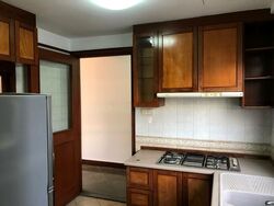 Parc Vista (D22), Condominium #479858851